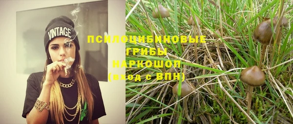 ALPHA PVP Вяземский