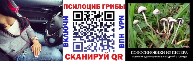 Псилоцибиновые грибы прущие грибы где купить Безенчук
